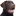 Labradorforum.nl